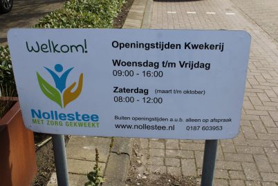 De Nollestee viert dit jaar haar 30 jarig bestaan , een mijlpaal voor de kwekerij die al drie decennia een combinatie biedt van groenvoorziening en dagbesteding voor mensen met een beperking.